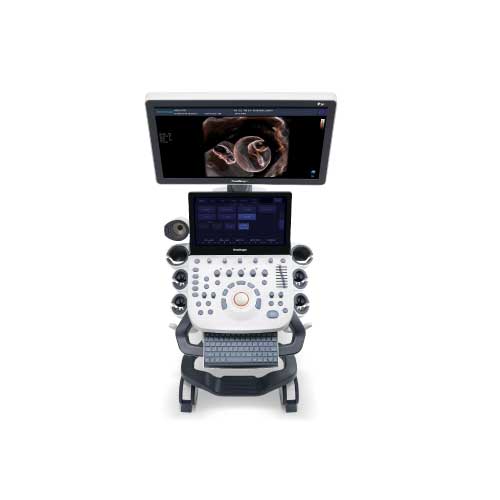 P20 kleur Doppler met abdominale sonde