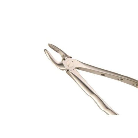 Naeltjie – Tandheelkundige boonste wortel onttrekkingstang Fig 30 – AUGC-1039