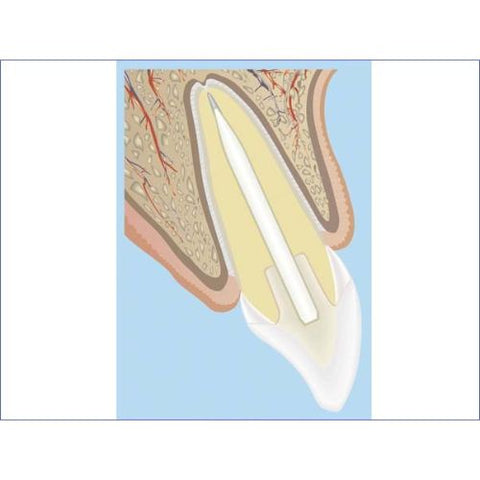 Hager & Werken – ميرافيت وايت