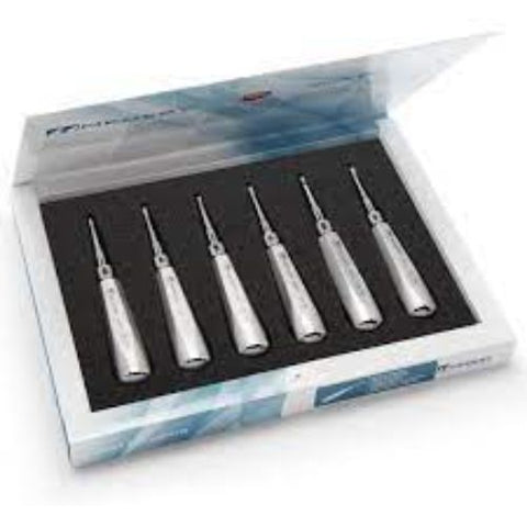 Medesy – Stel wortelhysbak Lussatore