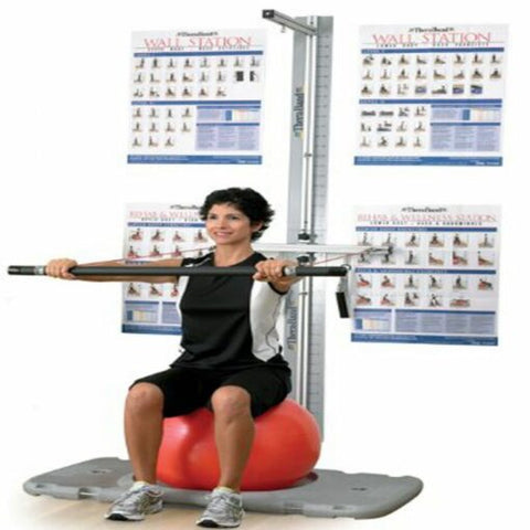 مركز إعادة التأهيل والعافية Thera-Band 21915