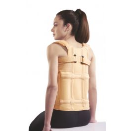 Dorso Lumbar Spinal Brace (Taylor Brace)