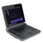 "12-inch black and white ultrasound with micro-convex probe for detailed imaging