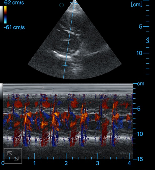 "Trusted medical equipment supplier in UAE for quality healthcare solutions.