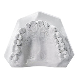 DENTITALIYA DIE STONE IV - 1