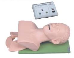 Electronic Trachea Intubation Training Model - 1