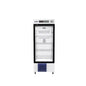 Biobase BPR-5V468 laboratory and pharmacy refrigerator from top medical equipment suppliers in Dubai