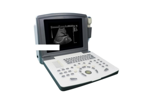 Black and white ultrasound with convex and linear probe