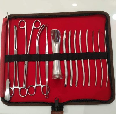 D&C Surgical Instrument Kit