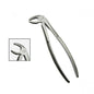 Lower Premolar Forceps
