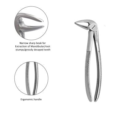 Lower Adult Root Forceps