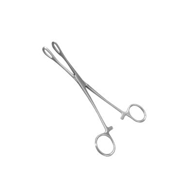 Sponge Holding Forceps straight