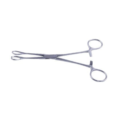 Sponge Holding Forceps curved