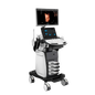 Trolley Color Doppler Ultrasound 15 inch with Convex probe for advanced diagnostic imaging in UAE hospitals and clinics