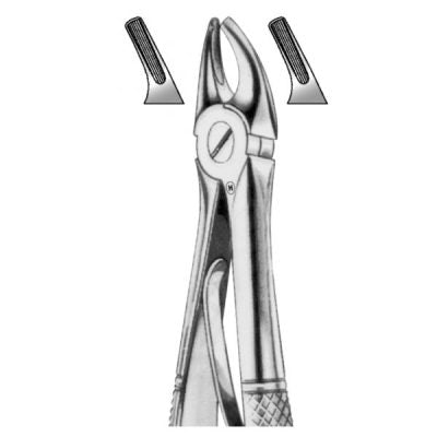 Upper Central Canines Forceps