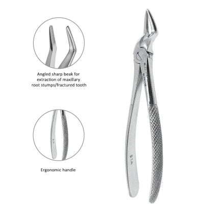 Upper Root Forceps