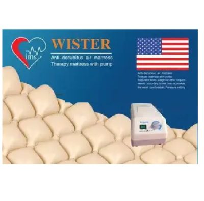 Wister Air Mattress with pump