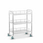 Hospital Instrument Trolley with Three Shelves