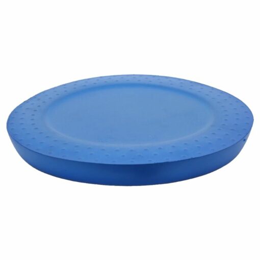 Cando – Balance Pad Circular, Blue – 302120B