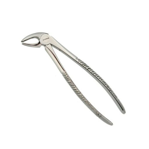 Clove – Extracting Forcep Lower Incisors & Canines Fig 4 – AUGC-1043