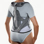 BORT DynamicFX Back Brace