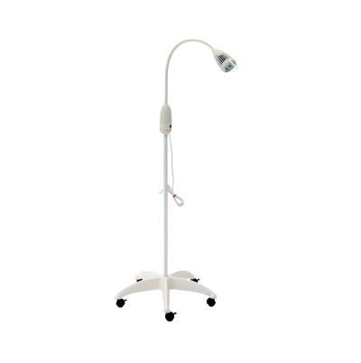 Examination Light