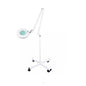 Magnifying Light