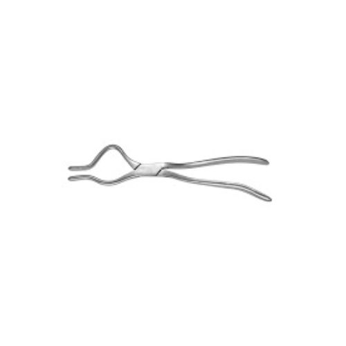 Rowe Forceps Right Medesy – Rowe Maxillary Forceps Right | Adams Med Medical Equipment ...