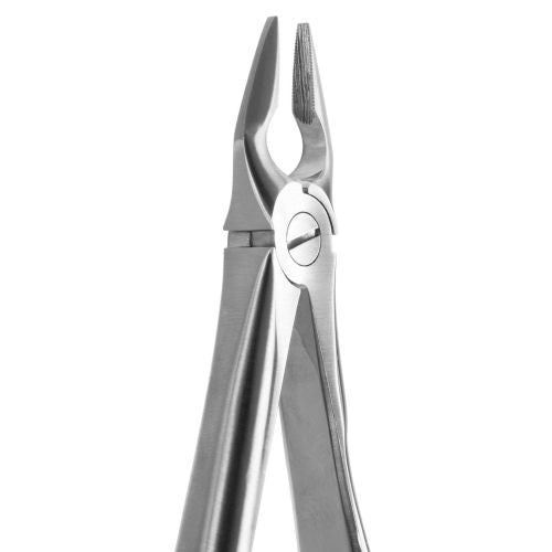 Medesy – Tandtang Lembekke N.34-N