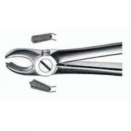 Medesy – Tooth Forceps N18