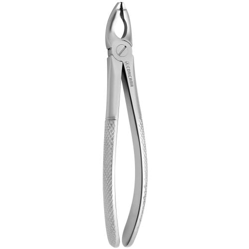 Medesy – Tooth Forceps N181