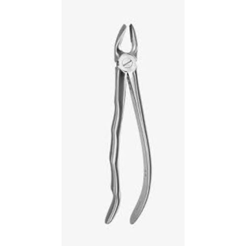 Medesy – Tooth Forceps N19