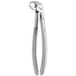 Medesy – Tooth Forceps N24