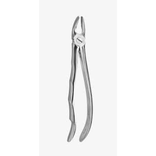 Medesy – Tooth Forceps N67