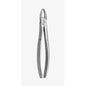 Medesy – Tooth Forceps Pediatric N163