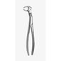 Medesy – Tooth Forceps Routurier – Right