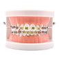 Ortho Arch – Tande Model