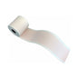 Pirrone – Paper For Fukuda 0P119TE