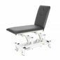 Dual-Motor 2-Section Electric Examination Couch