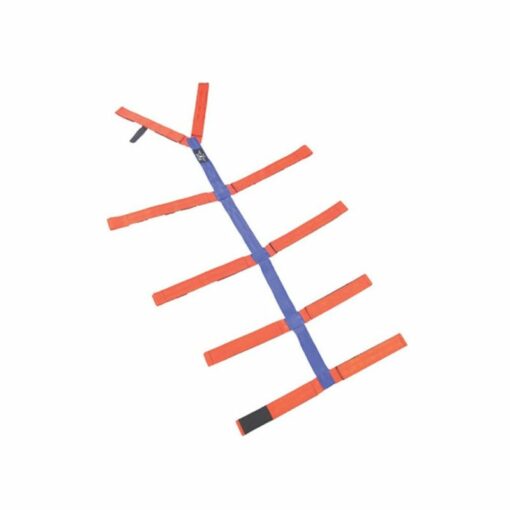 ستوتنهام – حزام العنكبوت