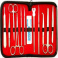 Surgical Basic Minor Kit